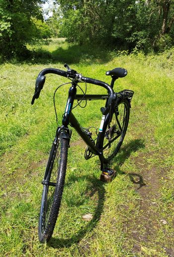 Used Orbea Hybride Gravel/ Randonnée 2005 Road & Gravel