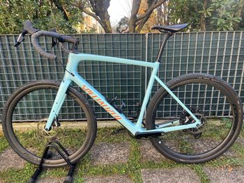 Specialized, Diverge Expert Carbon 2024