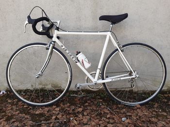 Moser, 1980