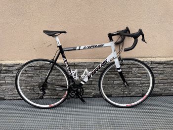 Used Virus Bici Squadra Corse - Virus 2016 Road & Gravel, White — image 2 of 8