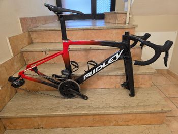 Ridley, Noah Frameset