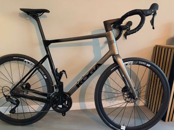 Koga, ROQA Prestige 2024