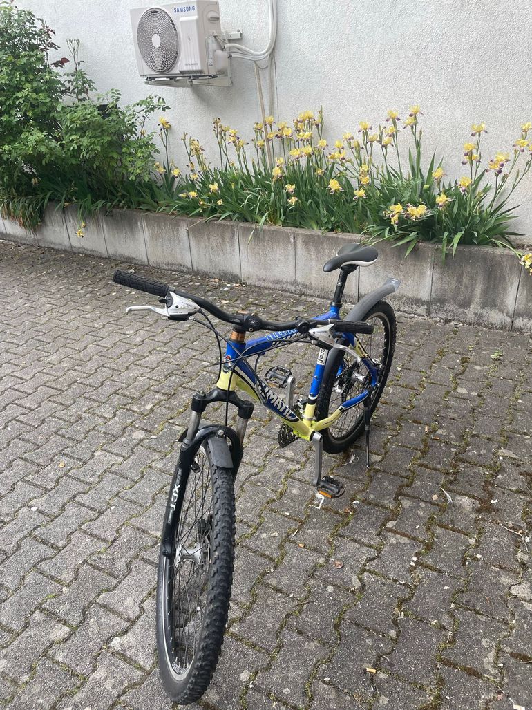 Used illmatic Illmatic Custom Shimano Dura Ace Di2 2020 Mountainbike, Blue — image 5 of 5