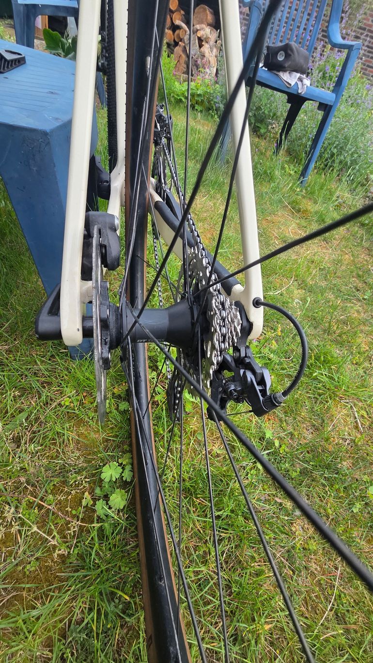 Used Canyon Grail CF SL 7 2024 2024 Road & Gravel — image 6 of 9