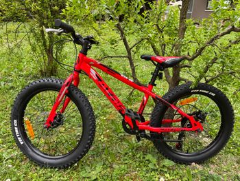 Used Atala ATALA Custom Shimano Tourney 2023 Youth, Rosso — image 2 of 9