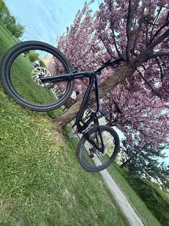 Used Trek Fuel EX 9.8 GX AXS T-Type Gen 6 2024 2024 Mountainbike, Black, 27.5, 29 — image 9 of 14