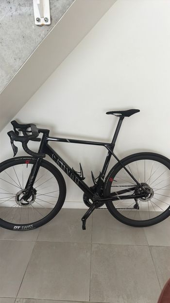 Canyon, Ultimate CFR LTD 2025