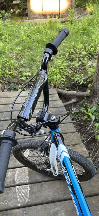 Used Schwinn Koen Other 2020 Youth, Blu — image 3 of 5