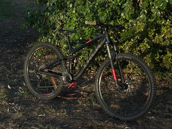 Trek, Fuel EX 8 29 2017