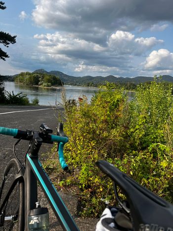 Used Canyon Ultimate CF SL Disc 9 WMN 2021 Road & Gravel, Black — image 8 of 10