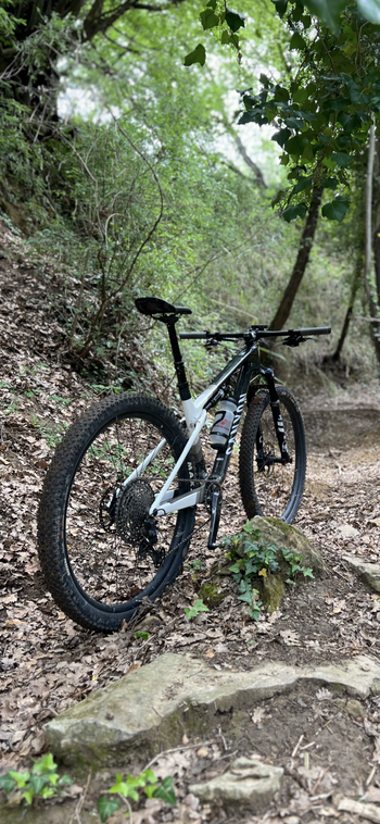 Canyon, Lux World Cup CF 6 2024