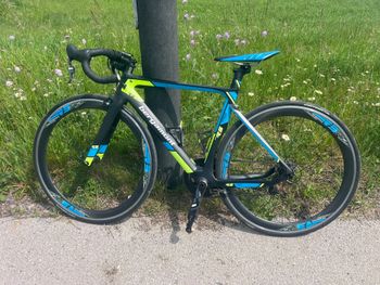 Bergamont, Prime Road Aero