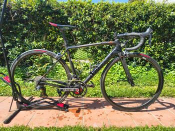 Wilier, Zero 7 2018, Power2max Powermeter, Giant Carbon Rims