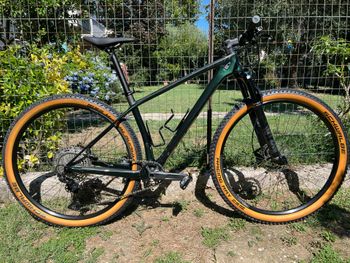 Scott, Scale Shimano GRX