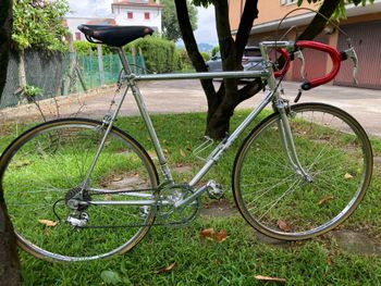 Alan, Alan Ciclocross Campagnolo