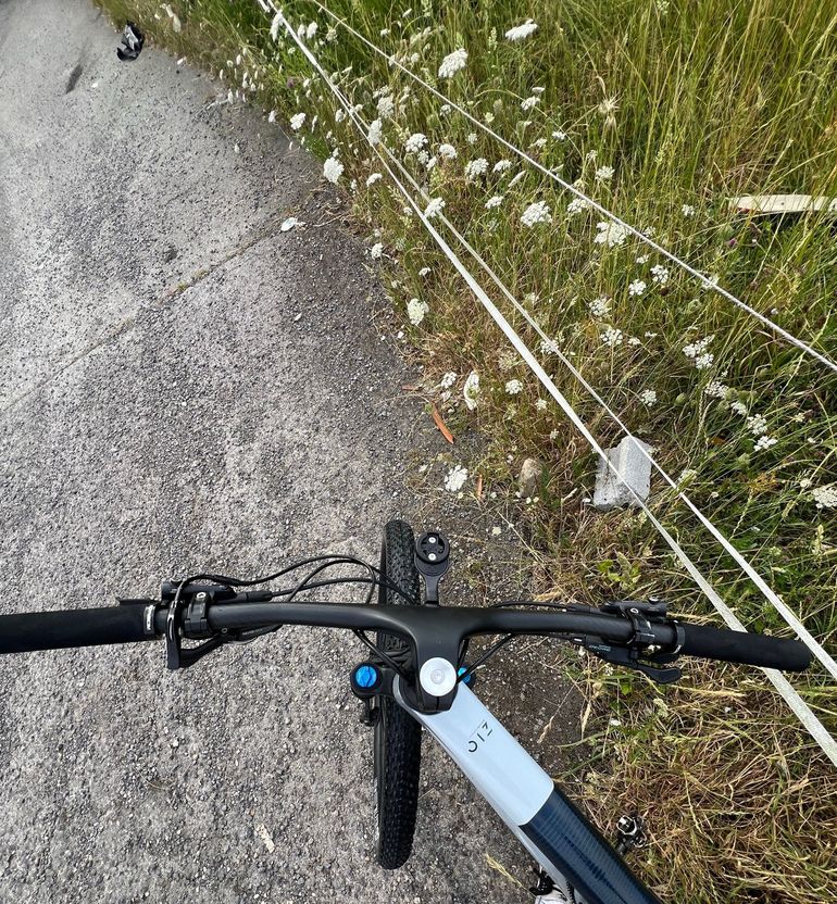 Used Orbea OIZ M30 2024 2024 Mountainbike, White, 29 — image 11 of 12