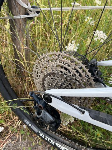 Gebrauchtes Orbea OIZ M30 2024 2024 Mountainbike, Weiß, 29 — Bild 3 von 12