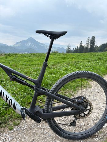 Used Canyon Neuron CF 8 2025 2025 Mountainbike, Light Gray, 27.5, 29 — image 4 of 5