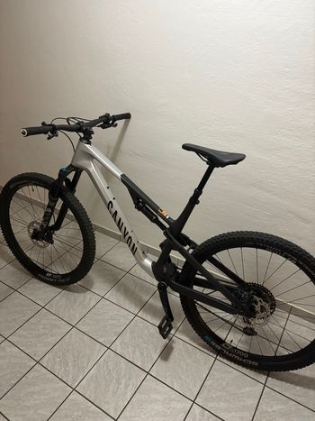 Used Canyon Neuron CF 8 2025 2025 Mountainbike, Light Gray, 27.5, 29 — image 1 of 5