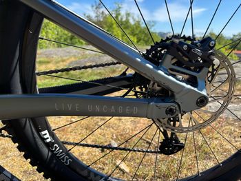 Used YT Industries Izzo CORE 2 29 2022 2022 Mountainbike, Light Gray, 29 — image 4 of 8
