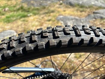 Used YT Industries Izzo CORE 2 29 2022 2022 Mountainbike, Light Gray, 29 — image 7 of 8