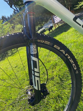 Used CUBE PHENIX C:68X, SLX 2025 2025 Mountainbike — image 9 of 12