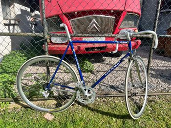 Colnago, Master Frameset 2019 Frameset