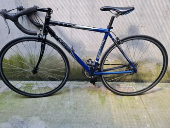 DECATHLON, DECATHLON Custom Shimano Sora