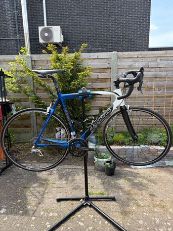 Used Moozes Moozes Custom Campagnolo Chorus 2009 Corsa & gravel