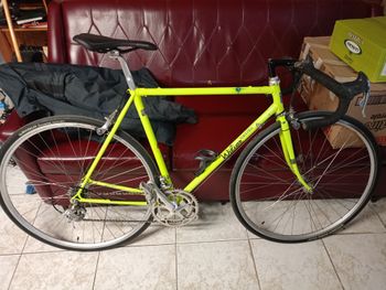 Wilier, Triestina Campagnolo Chorus
