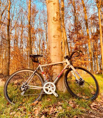 Salsa Collossal 2014 Road & Gravel d'occasion — image 6 sur 7