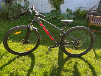 Trek, Marlin 5 Gen 3 2025