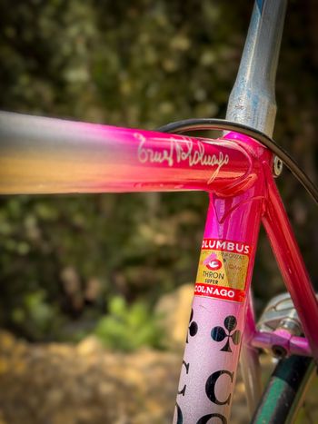 Used Colnago Decor Other Campagnolo 1988 Road & Gravel, Violett — image 4 of 9