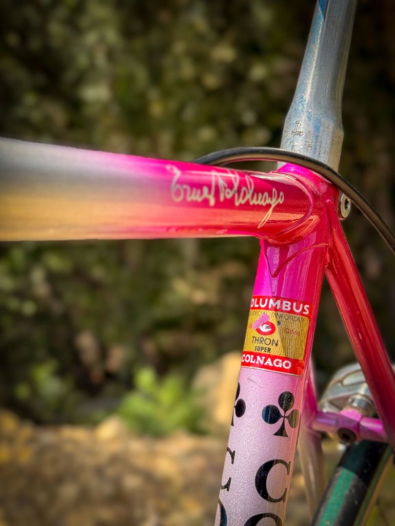 Used Colnago Decor Other Campagnolo 1988 Road & Gravel, Violett — image 4 of 9