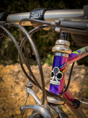 Used Colnago Decor Other Campagnolo 1988 Road & Gravel, Violett — image 2 of 9
