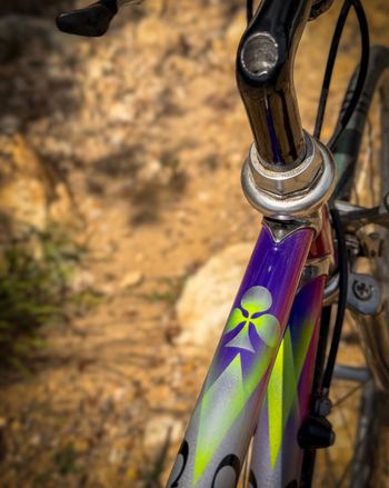 Used Colnago Decor Other Campagnolo 1988 Road & Gravel, Violett — image 3 of 9