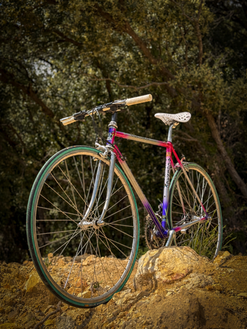 Used Colnago Decor Other Campagnolo 1988 Road & Gravel, Violett — image 1 of 9