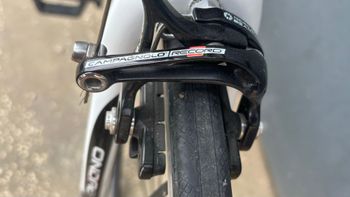 Used Pinarello Dogma 60.1 BOB Frameset 2021 2021 Road & Gravel, White — image 9 of 13