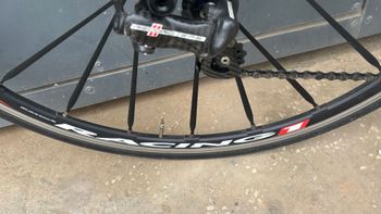 Used Pinarello Dogma 60.1 BOB Frameset 2021 2021 Road & Gravel, White — image 10 of 13