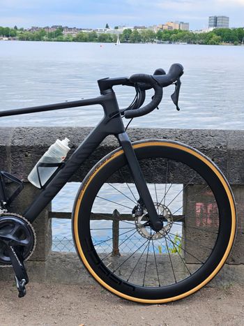 Used Canyon Endurace CF 8 LTD 2023 2023 Road & Gravel, Black — image 9 of 9
