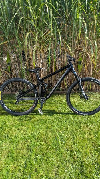 Used Ghost RIOT AM Essential 2021 2021 Mountainbike, Black, 29 — image 5 of 8