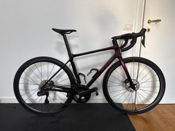 Liv, Langma Advanced Pro Disc 0 2022