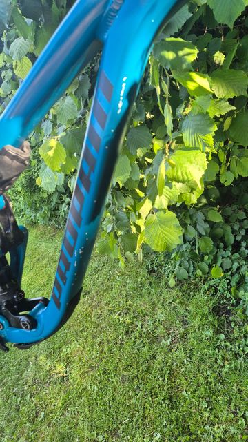Used Propain Tyee AL 29 Start 2022 Frameset 2022 Mountainbike, Blue, 29 — image 6 of 7