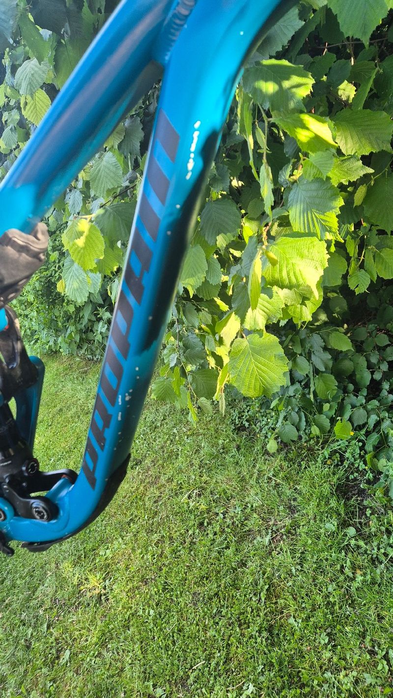 Used Propain Tyee AL 29 Start 2022 Frameset 2022 Mountainbike, Blue, 29 — image 6 of 7