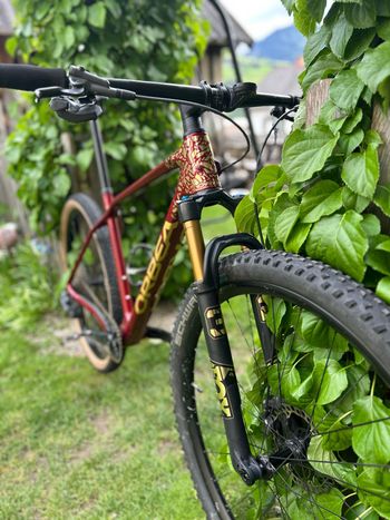 Used Orbea ALMA M LTD 2021 2021 Mountainbike, Red, 29 — image 4 of 5