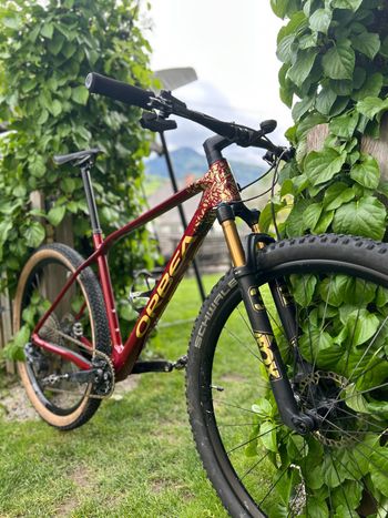 Used Orbea ALMA M LTD 2021 2021 MTB