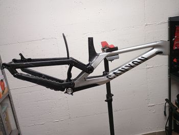 Canyon, Sender CFR Mullet 2022 Frameset