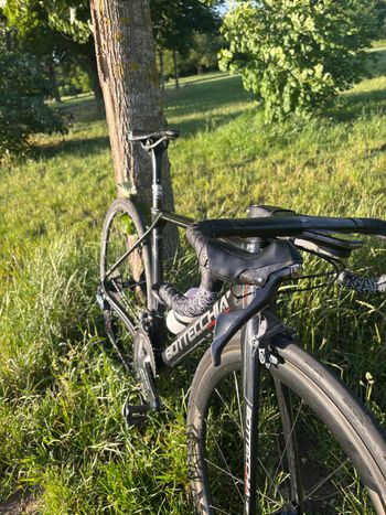 Used Bottecchia Bottecchia Custom Shimano Ultegra 2018 Road & Gravel, Black — image 4 of 7