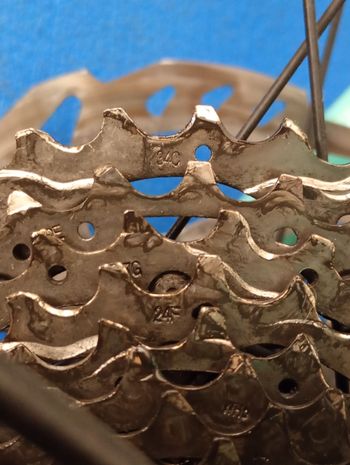 Used Bianchi Sprint 105 2025 2025 Road & Gravel, Green — image 10 of 11