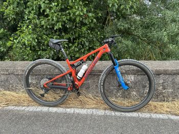 Used Santa Cruz Blur R / Carbon C / 29 2019 Frameset 2019 Mountainbike, Red, 29 — image 5 of 5